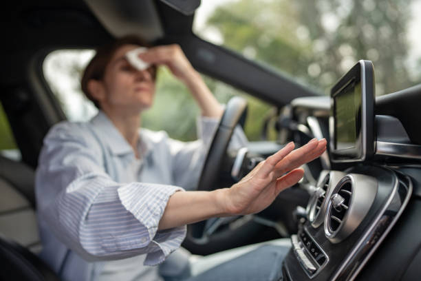Best Thermostats and Smart Controls in Holden, MO